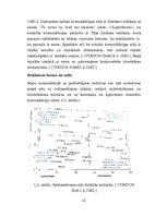 Referāts 'Kontentanalīze. Individuālisma un kolektīvisma kultūras iezīmes modes zīmolu dru', 13.