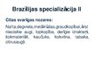 Prezentācija 'Brazīlijas Federatīvās Republikas starptautiskā tirdzniecība un dalība starptaut', 19.