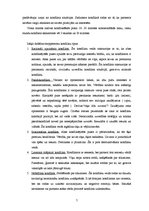 Referāts 'Konfliktu veidi un cēloņi', 5.