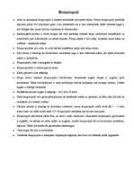 Konspekts 'Bruņurupuči', 1.