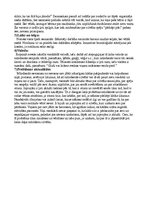 Konspekts 'Prozas teksta analīze. Rūdolfs Blaumanis "Andriksons"', 2.