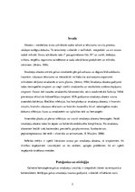 Referāts 'Smadzeņu abscess', 3.