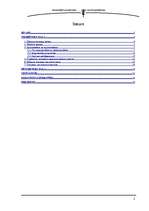 Referāts 'Mūzikas pirātisma izplatība Latvijā', 2.