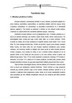 Referāts 'Mūzikas pirātisma izplatība Latvijā', 4.