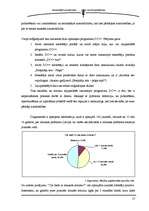 Referāts 'Mūzikas pirātisma izplatība Latvijā', 17.