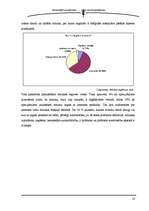 Referāts 'Mūzikas pirātisma izplatība Latvijā', 18.