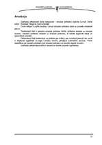 Referāts 'Mūzikas pirātisma izplatība Latvijā', 24.