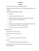 Konspekts 'Politiskā ētika. Taisnīgums', 1.