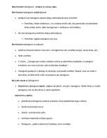 Konspekts 'Politiskā ētika. Taisnīgums', 2.