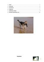 Referāts 'Klasificēšana', 2.