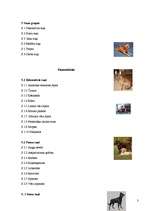 Referāts 'Klasificēšana', 3.