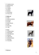 Referāts 'Klasificēšana', 4.