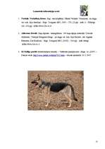 Referāts 'Klasificēšana', 10.