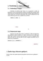 Referāts 'Tirgus līdzsvara analīze', 5.