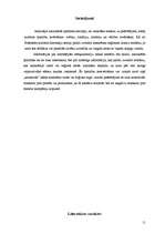 Referāts 'Nacionālo īpatnību ievērošana reklāmas veidošanā', 11.