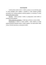 Referāts 'Lietuvas pieredze sociālās politikas jomā', 16.