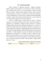 Referāts 'Informācijas un komunikāciju tehnoloģiju pielietojums, veidojot mācību materiālu', 14.