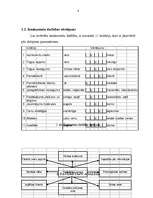 Konspekts 'Tirgus analīze', 8.