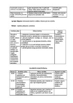 Paraugs 'Aprūpes plāns terapijā', 13.