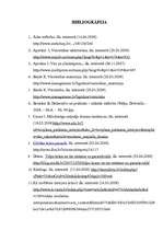 Referāts 'Viesistabas krāsu risinājums', 19.