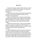 Referāts 'Nigērija', 2.