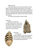 Referāts 'Nigērija', 7.