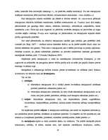 Referāts 'SIA "Cido" un a/s "Gutta" produktu salīdzinājums', 19.