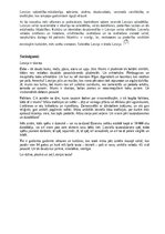 Referāts 'Latvijas plusi un mīnusi', 5.