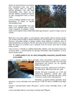 Referāts 'Latvijas plusi un mīnusi', 7.