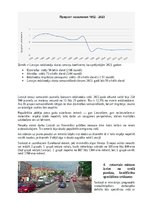 Referāts 'Latvijas plusi un mīnusi', 8.