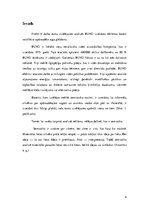 Referāts 'Reklāmas bannera semiotiskā analīze', 4.