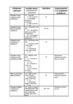 Paraugs 'Vispārattīstošo vingrojumu komplekss', 1.