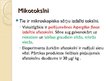 Prezentācija 'Nepareiza uztura ietekme uz veselību', 6.