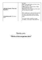 Konspekts 'Veselības un fiziskās aktivitātes mācību joma', 5.