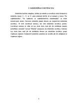 Referāts 'Dzīvokļa īpašnieku kooperatīvā sabiedrība', 9.