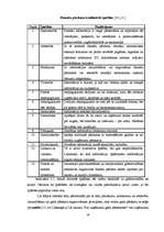 Referāts 'Uzņēmumu gada pārskatu sastādīšana un SIA "X" gada pārskatu rādītāju analīze', 19.