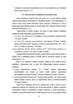 Referāts 'Uzņēmumu gada pārskatu sastādīšana un SIA "X" gada pārskatu rādītāju analīze', 22.