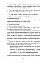 Referāts 'Uzņēmumu gada pārskatu sastādīšana un SIA "X" gada pārskatu rādītāju analīze', 25.