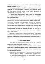 Referāts 'Uzņēmumu gada pārskatu sastādīšana un SIA "X" gada pārskatu rādītāju analīze', 26.