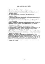 Referāts 'Uzņēmumu gada pārskatu sastādīšana un SIA "X" gada pārskatu rādītāju analīze', 56.