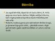 Prezentācija 'Roberts Hiršs un viņa ieguldījums vieglās rūpniecības attīstībā', 3.