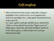 Prezentācija 'Roberts Hiršs un viņa ieguldījums vieglās rūpniecības attīstībā', 17.