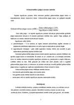 Referāts 'Investīciju projektu vērtēšanas metodes', 7.