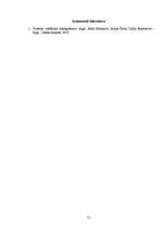 Referāts 'Investīciju projektu vērtēšanas metodes', 13.