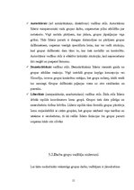 Referāts 'Komanda, tās veidošana un vadīšana', 15.