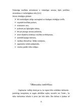 Referāts 'Komanda, tās veidošana un vadīšana', 18.