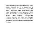 Konspekts 'Koki Kuldīgas parkos', 6.