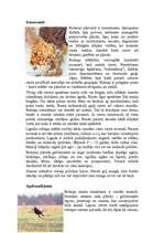 Konspekts 'Rubenis', 2.