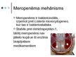 Prezentācija 'Antibiotika - meropenēms', 5.