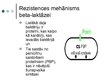 Prezentācija 'Antibiotika - meropenēms', 6.